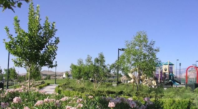 The gardens